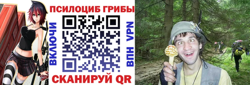 Купить закладки  Голицыно  Псилоцибиновые грибы Psilocybine cubensis 